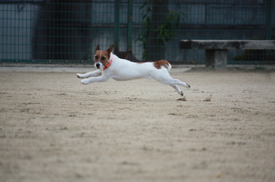 IMG_6621.JPG