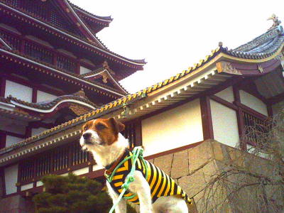 PICT0003.JPG