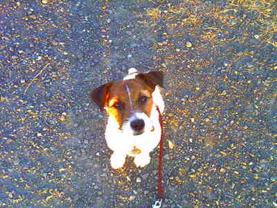 PICT0009.JPG
