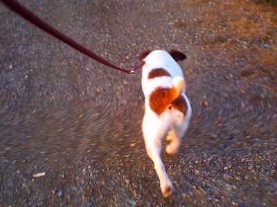 PICT0021.JPG